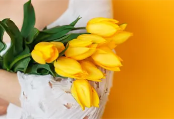 Por qué se regalan flores amarillas el 21 de septiembre