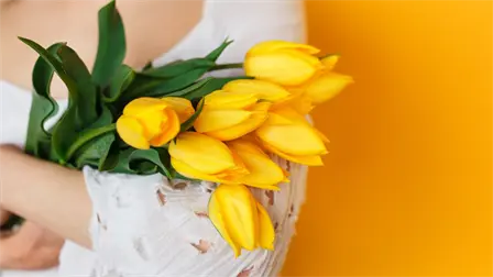 Por qué se regalan flores amarillas el 21 de septiembre Por qué se regalan flores amarillas el 21 de septiembre