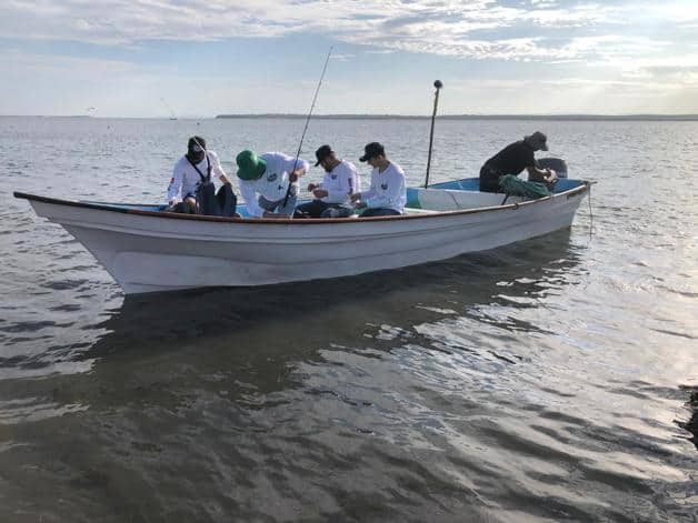 Imagen Placeholder Imagen Placeholder