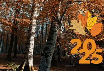 Otoño: ¿por qué a partir de hoy 22 de septiembre habrá días más cortos y noches más largas?
