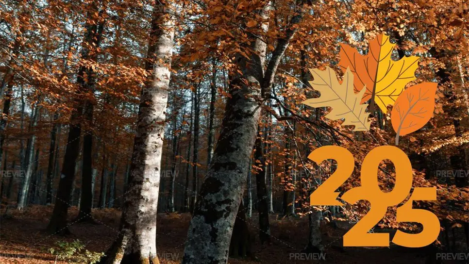 FOTO: Otoño: ¿por qué a partir de hoy 22 de septiembre habrá días más cortos y noches más largas?