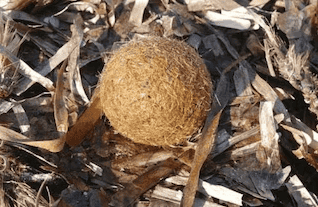 Imagen Placeholder Imagen Placeholder