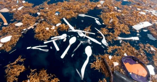 Imagen Placeholder Imagen Placeholder