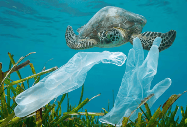 Imagen Placeholder Imagen Placeholder