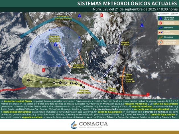 Imagen Placeholder