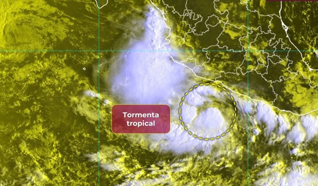 Imagen Placeholder Imagen Placeholder