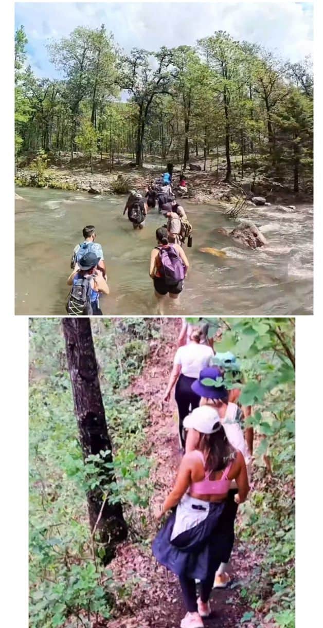 Imagen Placeholder Imagen Placeholder