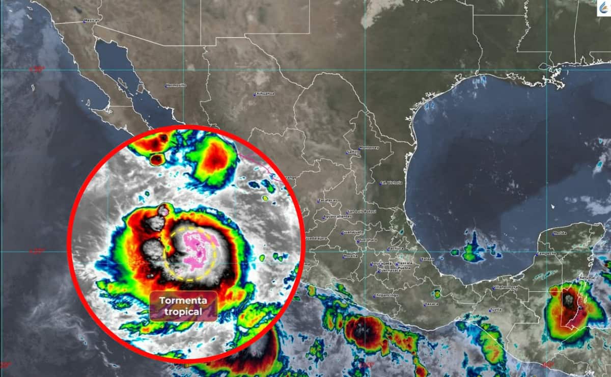 Imagen Placeholder Imagen Placeholder