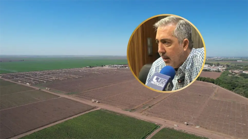 Las restricciones para la siembra del próximo ciclo agrícola aún no se levantan. FOTO: Luz Noticias.