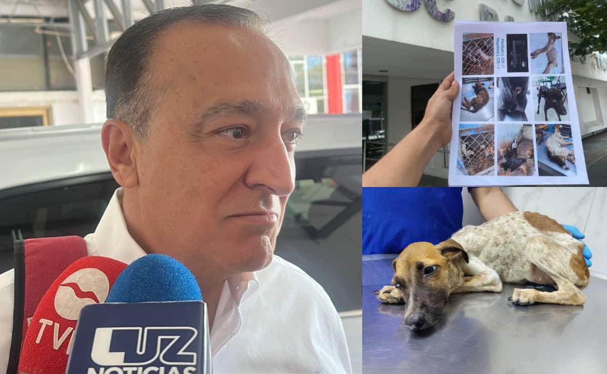 Tras denuncia ante la FGE, alcalde de Ahome promete revisar condiciones del Centro de Bienestar Animal