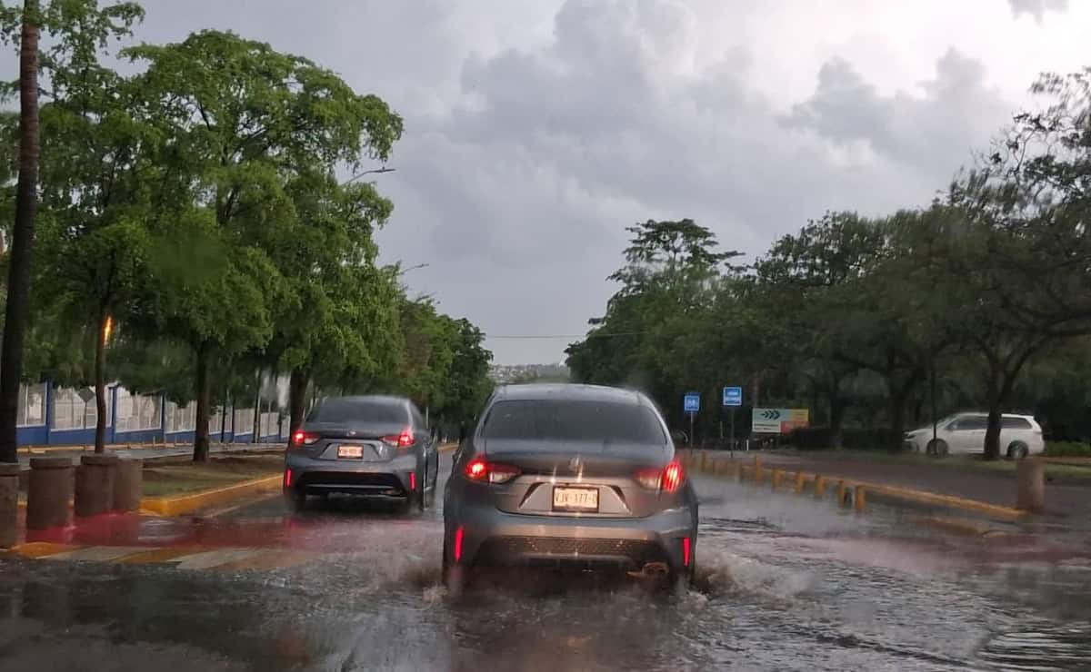 Imagen Placeholder Imagen Placeholder