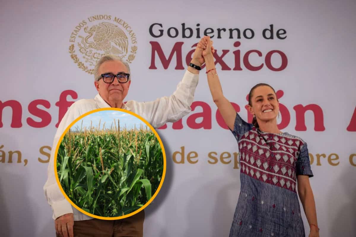 Imagen Placeholder Imagen Placeholder