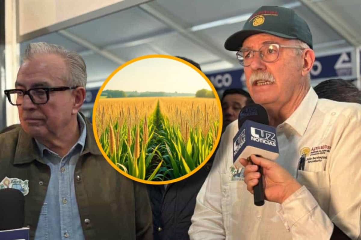 Rocha Moya se reunirá con Julio Berdegué para analizar la comercialización del maíz en Sinaloa