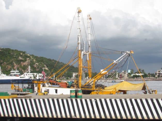 Imagen Placeholder Imagen Placeholder