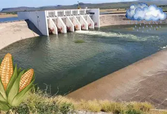 Con presas al 46 %, Sinaloa planea producto 5 millones de toneladas de maíz