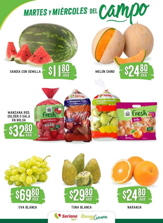 Imagen Placeholder Imagen Placeholder