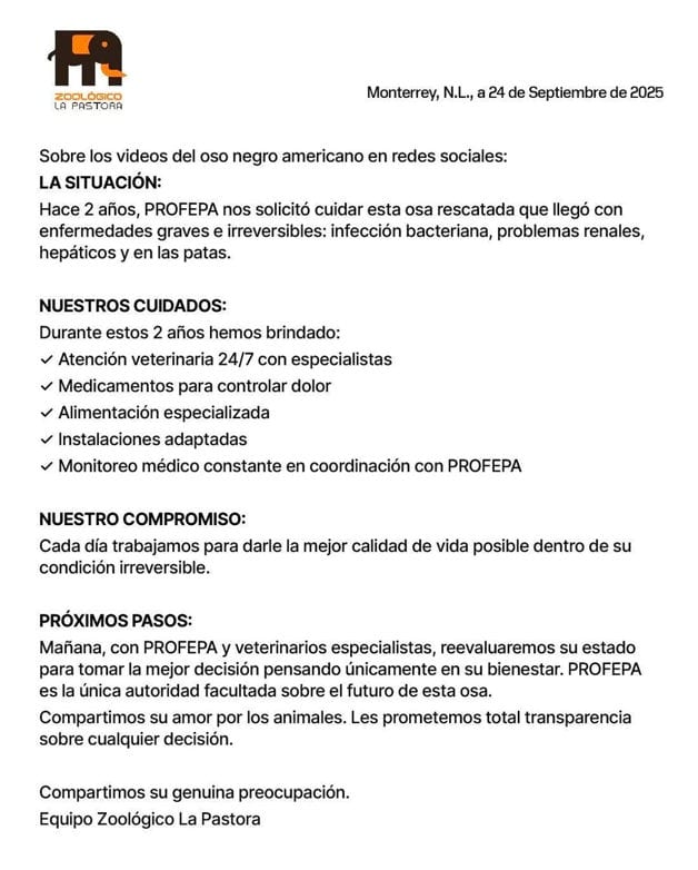 Imagen Placeholder