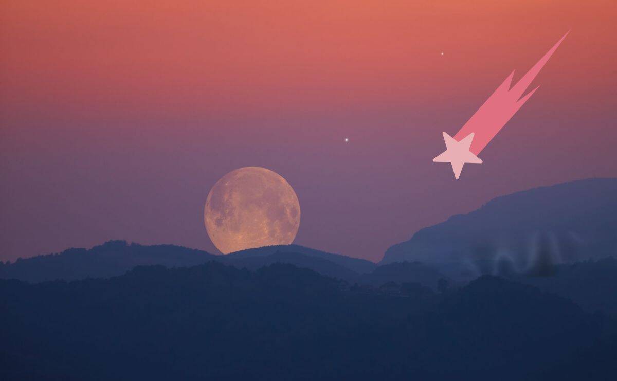 Imagen Placeholder Imagen Placeholder