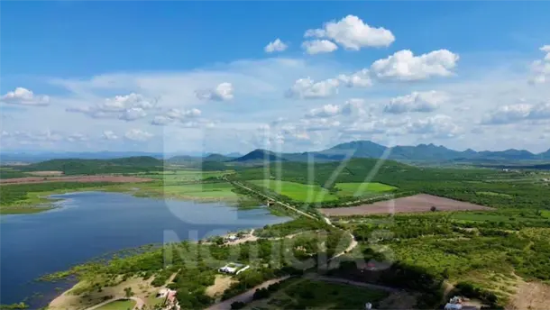 Nota Relacionada de Agro