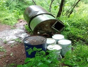 Imagen Placeholder Imagen Placeholder