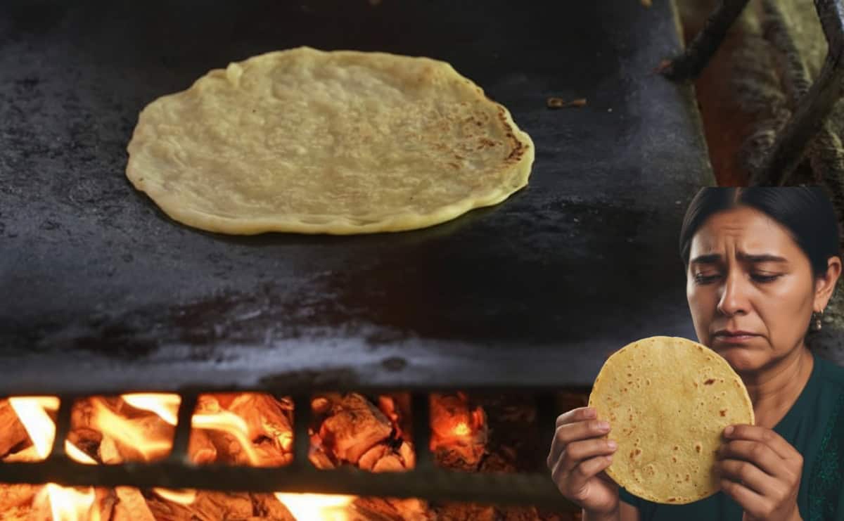 ¿Es bueno calentar las tortillas directamente al fuego de la estufa?, esto dice un experto  