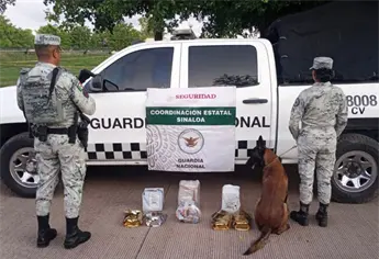 Aseguran droga y vapeadores en negocio de mensajería y paquetería en Culiacán