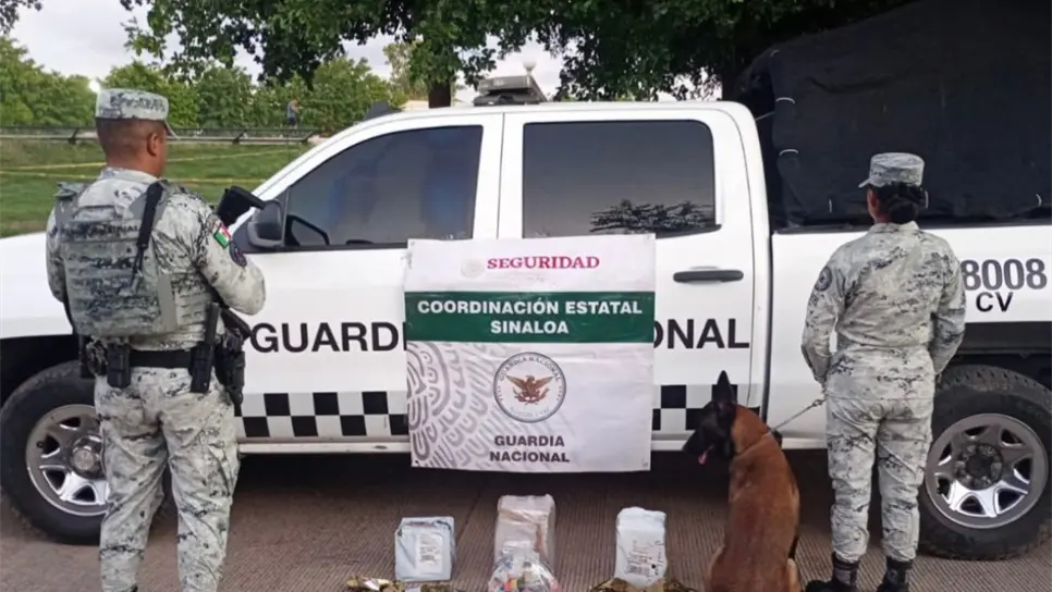 Lo asegurado fue puesto a disposición de las autoridades. (FOTO: Cortesía).