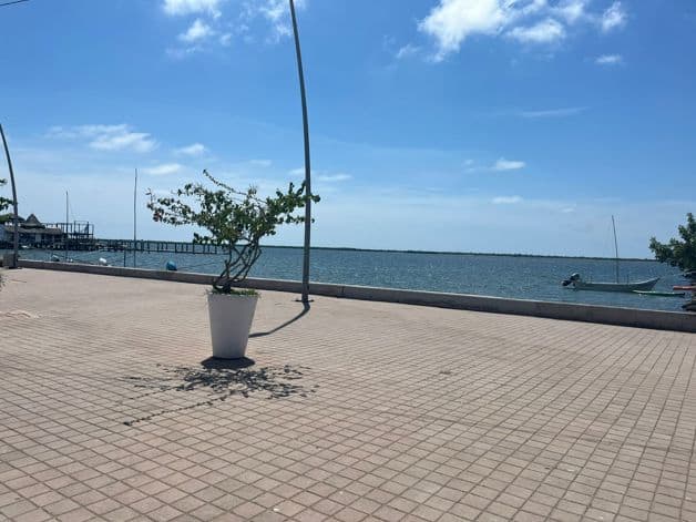 Imagen Placeholder Imagen Placeholder