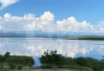 Sinaloa se prepara para ciclo agrícola, ¿cómo amanecieron este 3 de octubre?