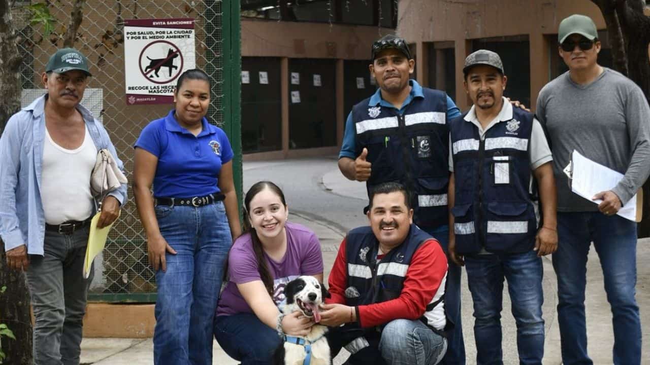 El propósito principal del programa es fomentar la adopción responsable y ofrecer a los animales en situación de calle una nueva oportunidad de vida en hogares amorosos y comprometidos