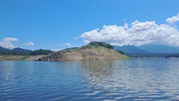 Nota Relacionada de Agro