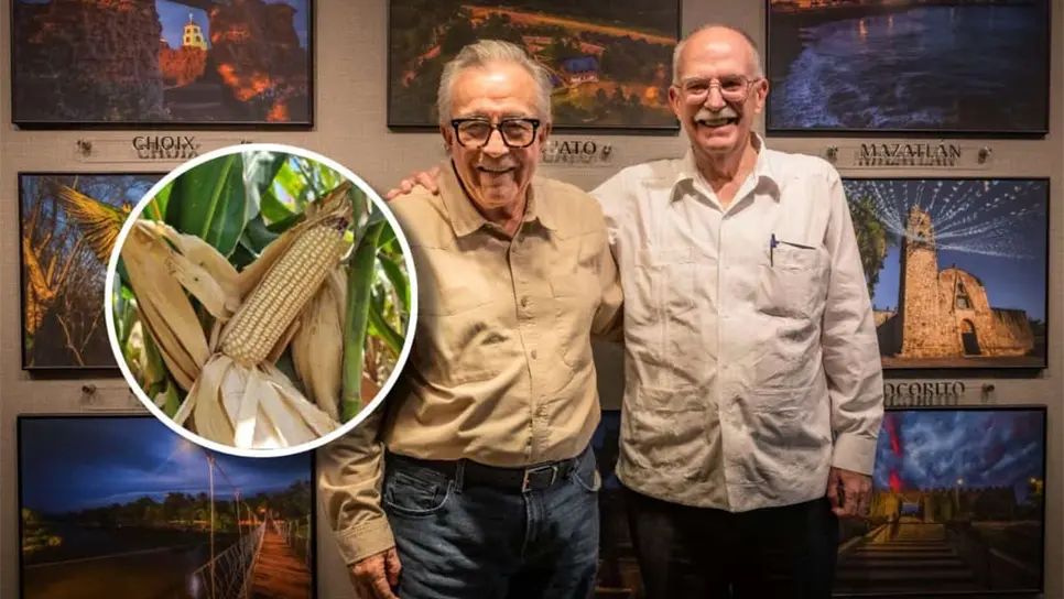 Rocha Moya proyecta siembra de 5 millones de toneladas de maíz en Sinaloa en el próximo ciclo agrícola