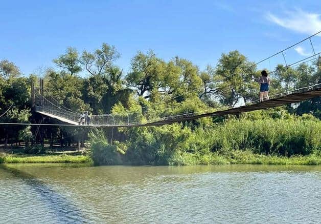 Imagen Placeholder Imagen Placeholder