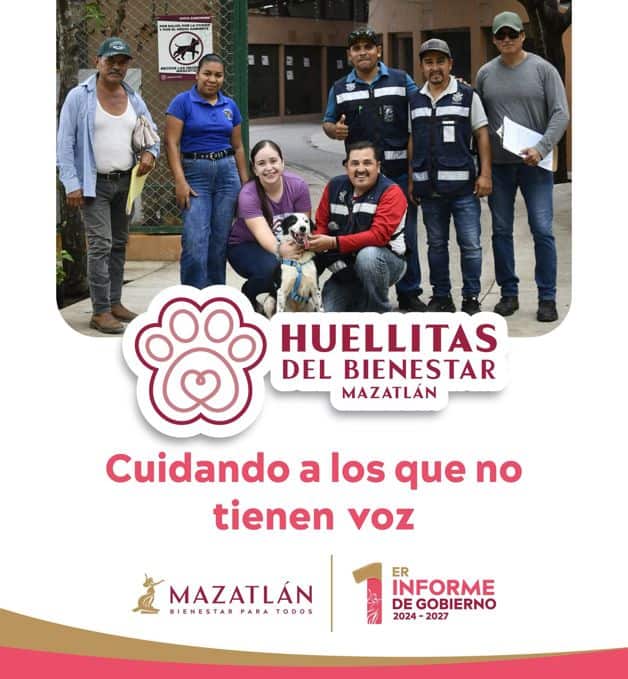 Imagen Placeholder Imagen Placeholder