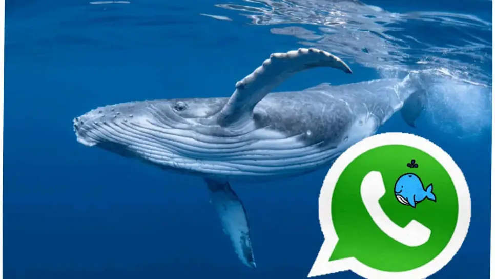 Activar el modo ballena azul en WhatsApp: así puedes cambiar el logo paso a paso