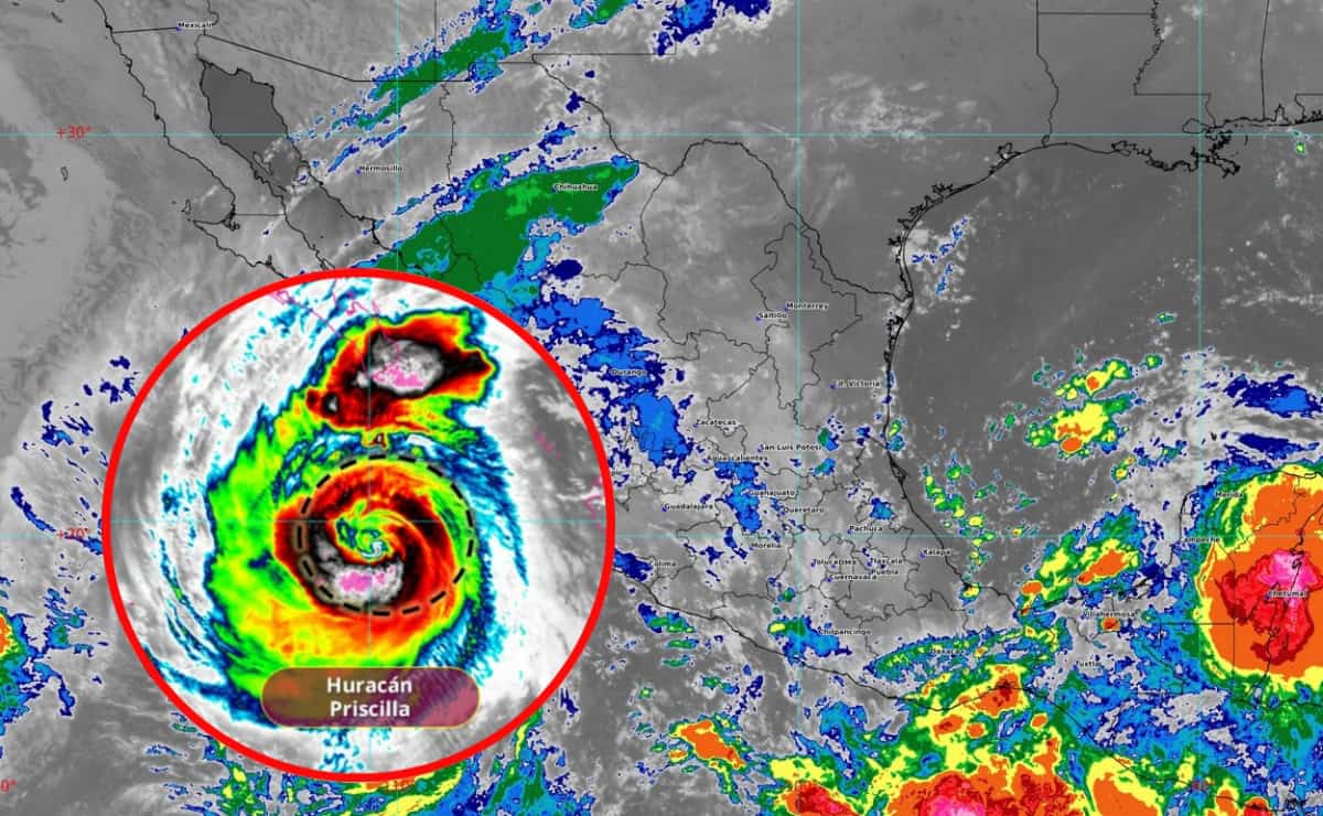 Imagen Placeholder Imagen Placeholder