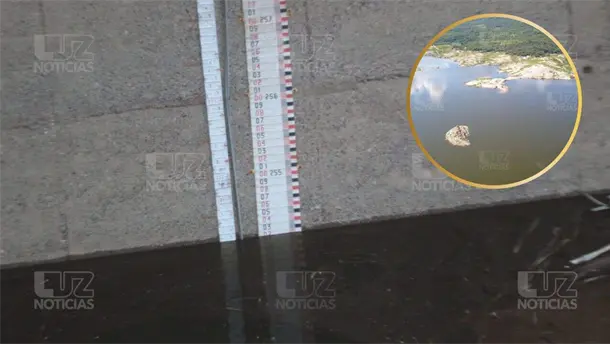 Nota Relacionada de Agro