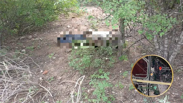 Nota Relacionada de Policiaca