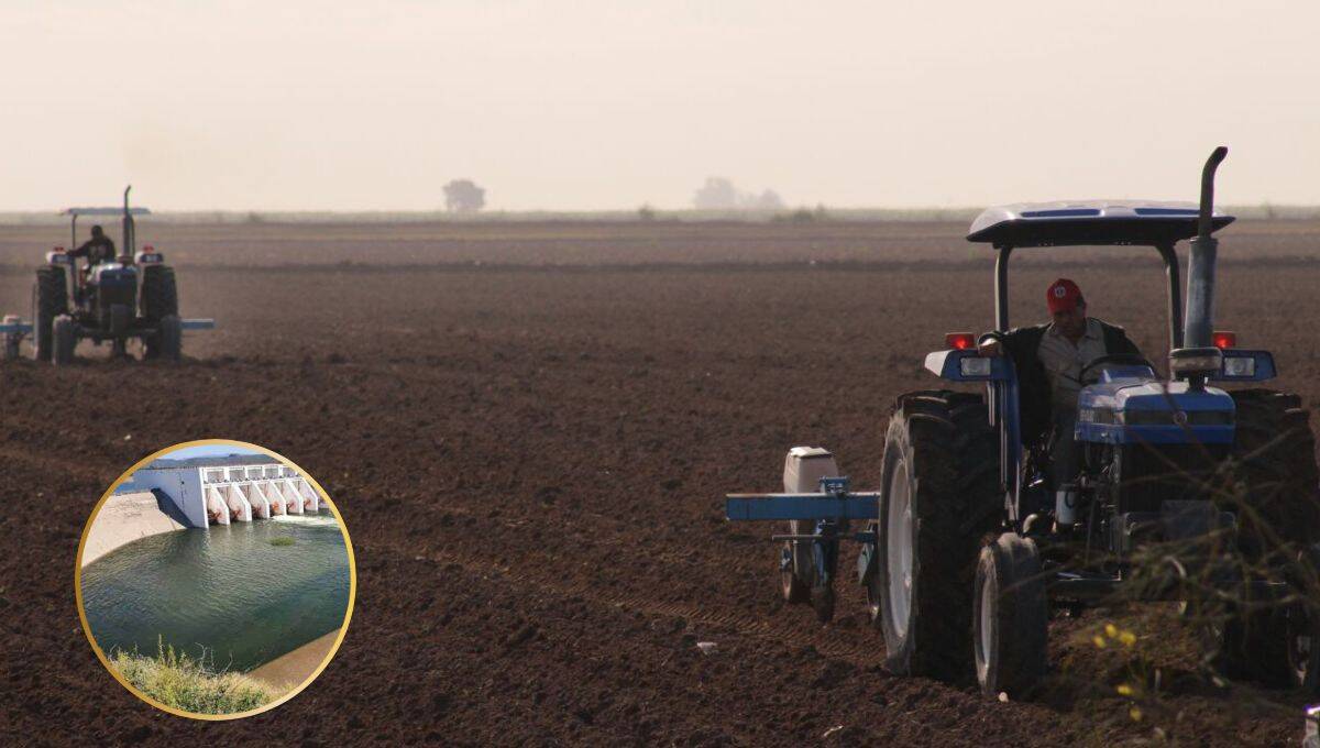 Nota Relacionada de Agro