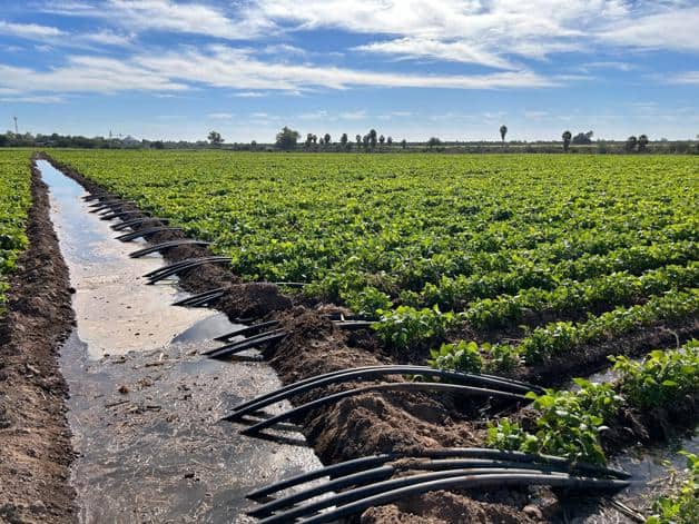 Imagen Placeholder Imagen Placeholder