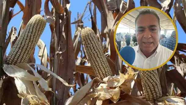 Nota Relacionada de Agro