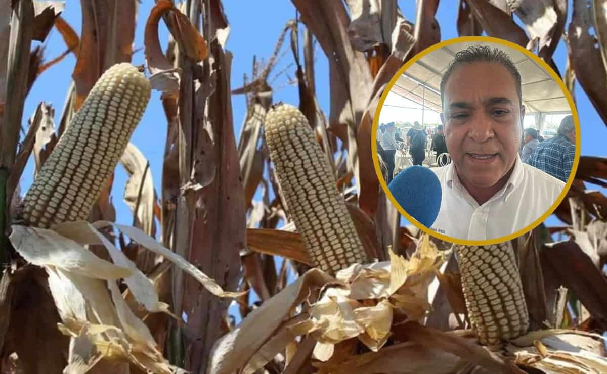 Nota Relacionada de Agro