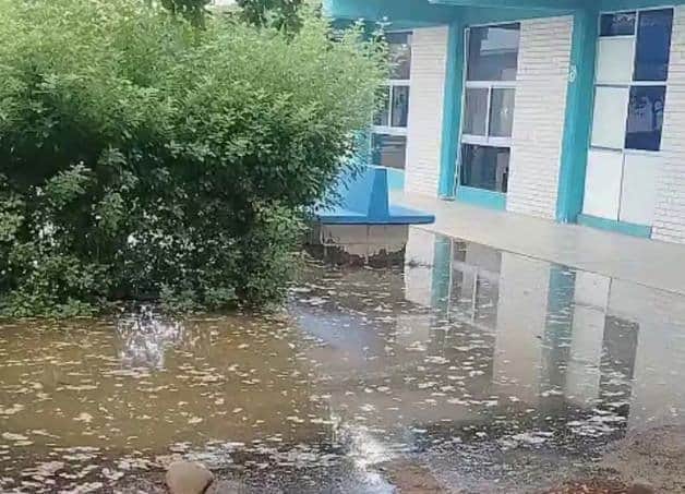 Imagen Placeholder Imagen Placeholder