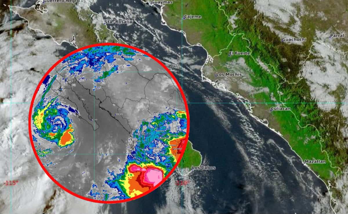 Nota Relacionada de Sinaloa