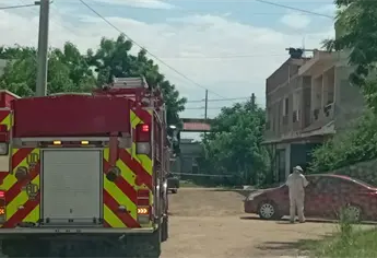 Enjambre de abejas atacan a adulta mayor en la colonia Sinaloa de Mazatlán