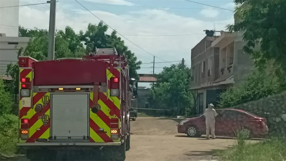 En las últimas semanas han ocurrido diversos incidentes con panales o enjambres de abejas, mismos que ya cobraron la vida de dos personas, en un rancho cercano a la comunidad La Urraca
