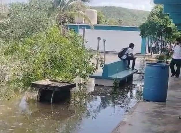 Imagen Placeholder Imagen Placeholder