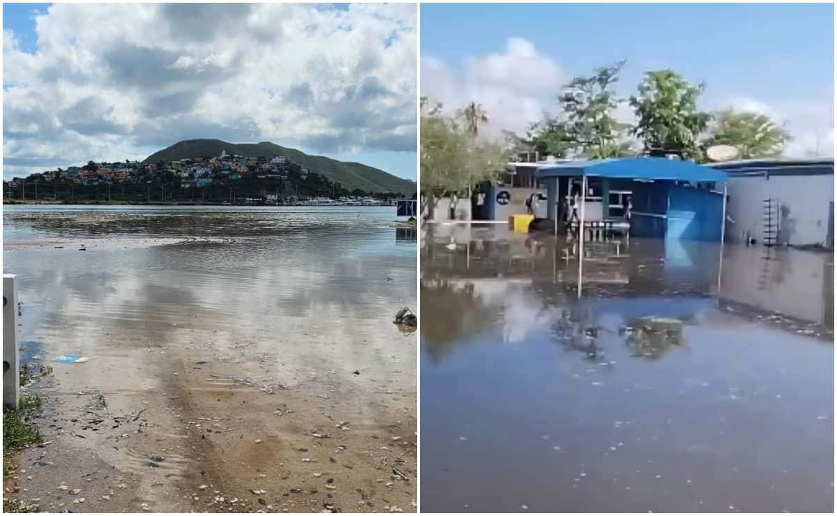 Nota Relacionada de Sinaloa