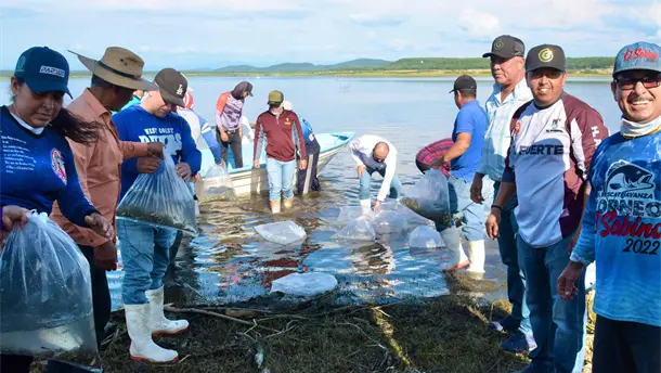 Nota Relacionada de Sinaloa