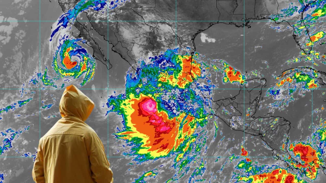 Nota Relacionada de Sinaloa